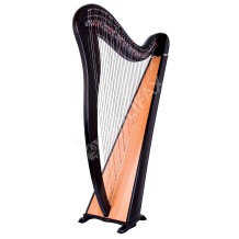 38 Strings Round Back Harp